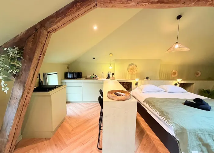 Apartment Romantique Wifi Metz