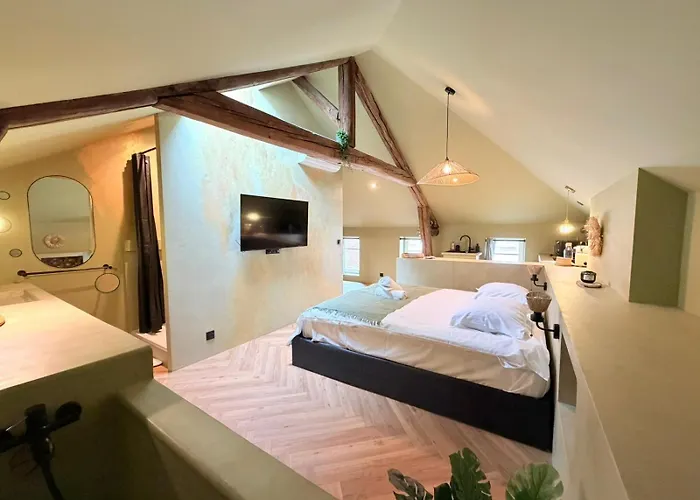 Romantique Wifi * Metz